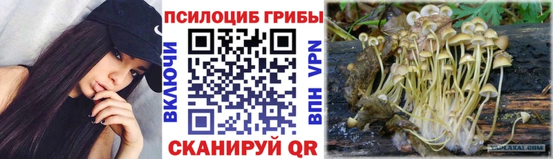 Псилоцибиновые грибы MAGIC MUSHROOMS  Плёс 